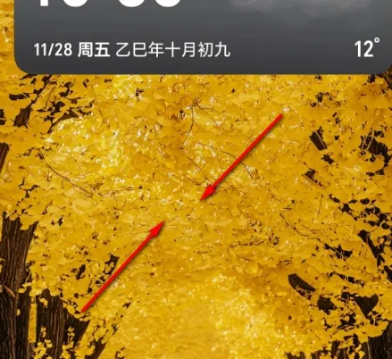 荣耀图库app官方版 荣耀图库app官方版