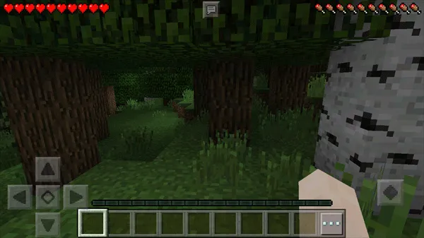 Minecraft2009年老版本截图1