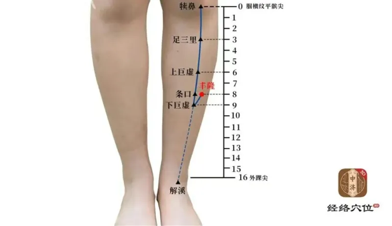 知源经络穴位穴位祛湿指南
