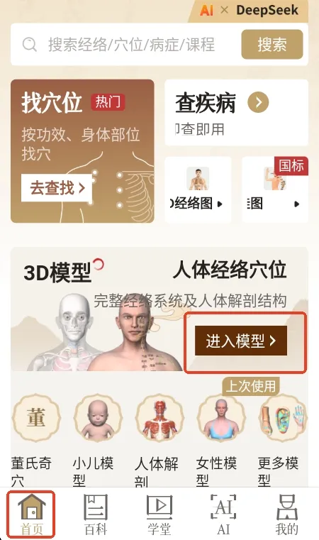 知源经络穴位使用指南