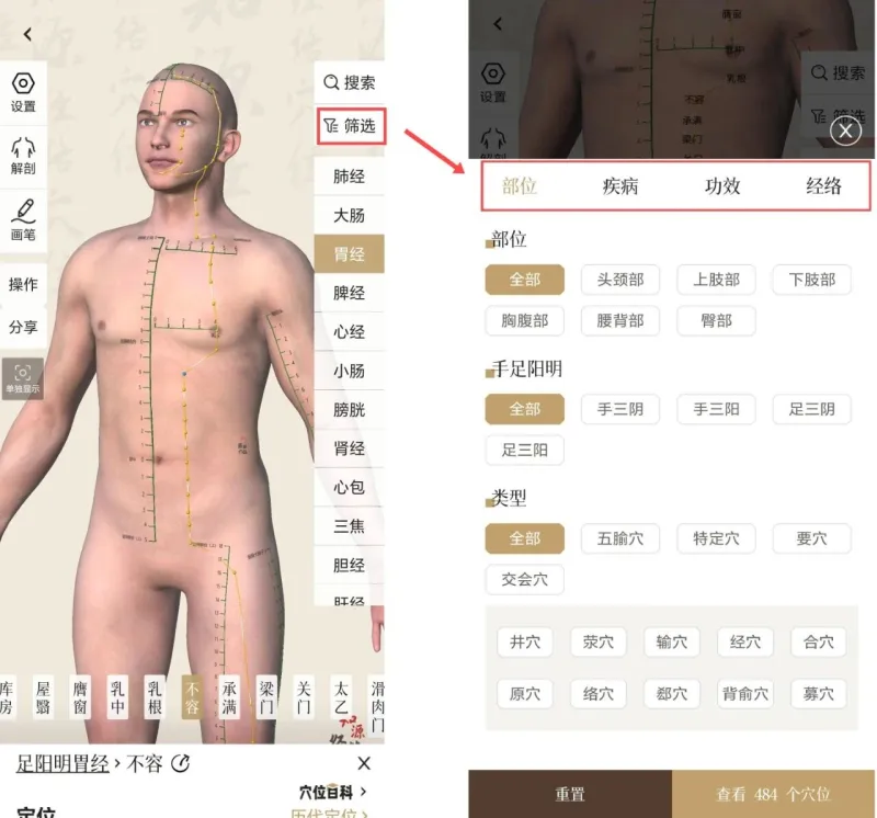 知源经络穴位使用指南
