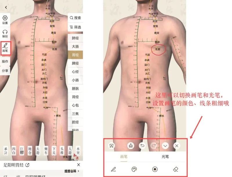 知源经络穴位使用指南