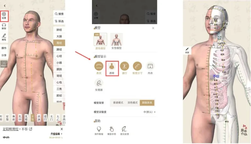 知源经络穴位使用指南