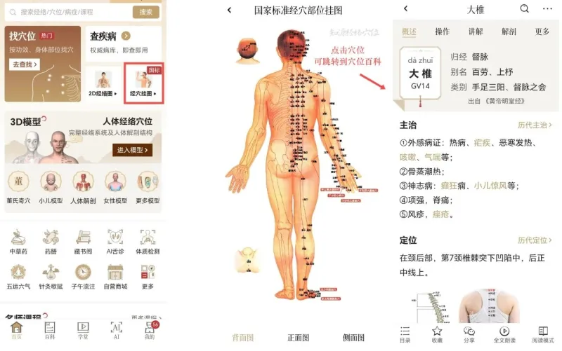 知源经络穴位使用指南