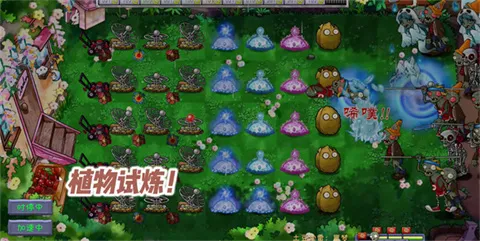 PVZ共生版有哪些模式4 PVZ共生版有哪些模式4