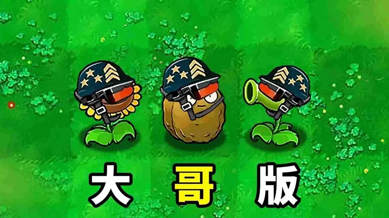 植物大战僵尸大哥版 植物大战僵尸大哥版