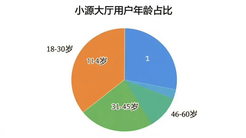 一张展示小源大厅用户年龄分布的饼状图，图表标题为“小源大厅用户年龄占比”，图中用不同颜色区分18-30岁、31-45岁、46-60岁三个年龄段的比例，风格简洁清晰，数据直观