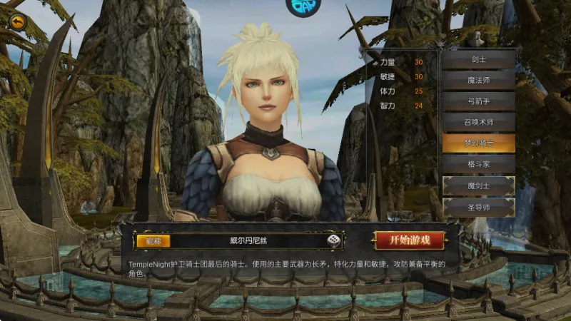 梦幻骑士