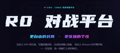R0对战平台 R0对战平台