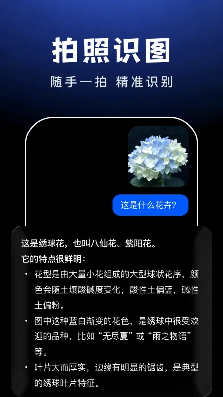 AI Agent助手-智能助理工具截图5