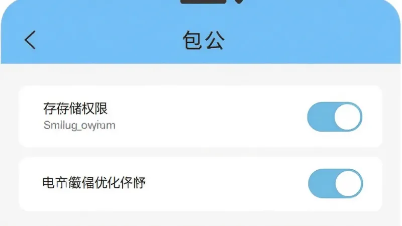 手机应用设置界面示意图,展示“包公”应用的权限管理页面,包含存储权限和电池优化选项的开关状态,界面简洁明了,文字标签清晰,配色以白色和浅蓝为主,画质干净,无多余元素