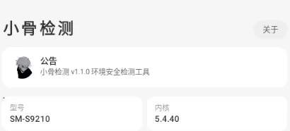 小骨检测root环境监测 小骨检测root环境监测