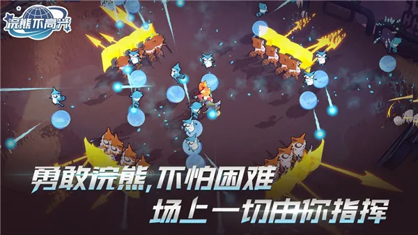 浣熊不高兴国际版截图2