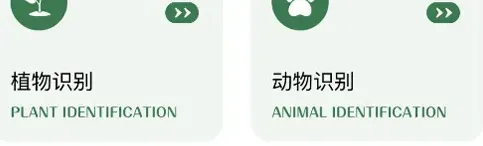 甲壳虫工具箱app怎么识别植物2 甲壳虫工具箱app怎么识别植物2