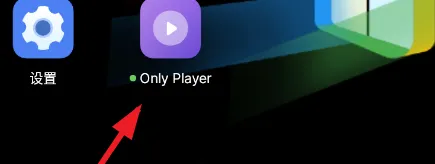 1 Only Player怎么用1