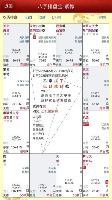 马国峻八字排盘宝-八字排盘工具截图4
