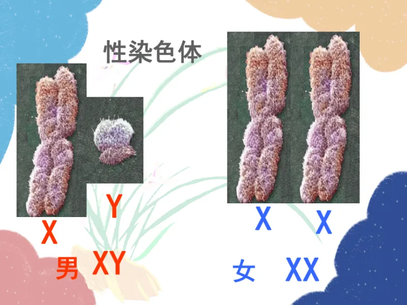 翼家远程监控 安卓版 界面