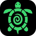 海龟汤