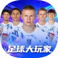足球大玩家