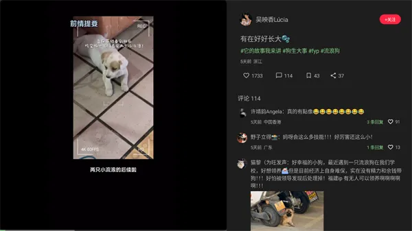 XT（第三方小红书TV版）