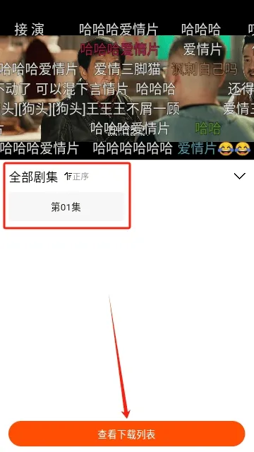 番喜视频播放失败怎么办4