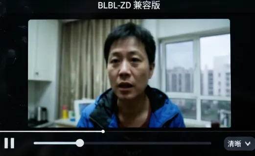 BLBL-ZD兼容版适合人群