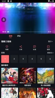 漫闪追番神器内置源版